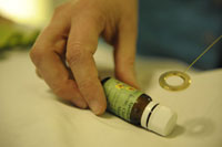 Spagyrik Magdalena Schüttendiebel