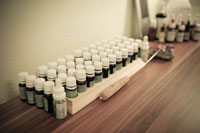 Blütenessenzen Magdalena Schüttendiebel